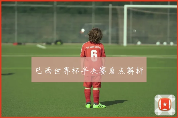 巴西世界杯半决赛看点解析