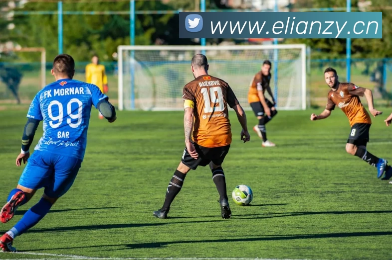 乐鱼(中国)leyu·官方网站 - 科技股份有限公司发展历程